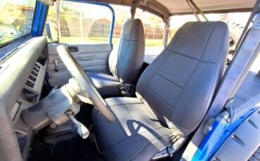 Jeep-Wrangler-1993-blue-13