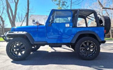 Jeep-Wrangler-1993-blue-5