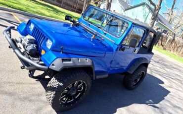 Jeep-Wrangler-1993-blue-8