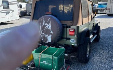 Jeep-Wrangler-1994-1