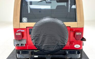 Jeep-Wrangler-1994-Red-Saddle-10