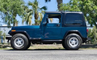 Jeep-Wrangler-1995-Emerald-Green-Metall-Gray-13
