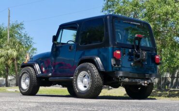 Jeep-Wrangler-1995-Emerald-Green-Metall-Gray-17
