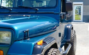 Jeep-Wrangler-1995-Emerald-Green-Metall-Gray-32