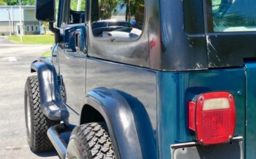 Jeep-Wrangler-1995-Emerald-Green-Metall-Gray-33