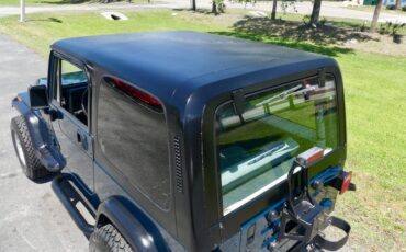 Jeep-Wrangler-1995-Emerald-Green-Metall-Gray-41