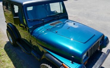 Jeep-Wrangler-1995-Emerald-Green-Metall-Gray-47