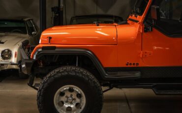Jeep-Wrangler-Custom-1994-SUV-4