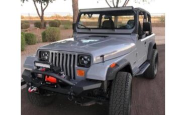 Jeep-Yj5-1994-Gray-Gray-1