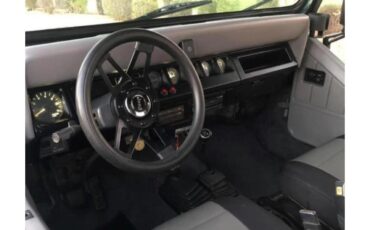 Jeep-Yj5-1994-Gray-Gray-2