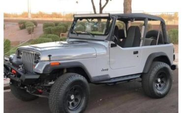 Jeep-Yj5-1994-Gray-Gray-3
