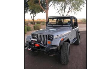 Jeep-Yj5-1994-Gray-Gray