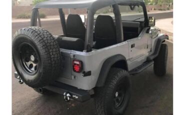 Jeep-Yj5-1994-Gray-Gray-4