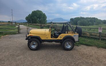 Jeep-cj5-1974-yellow-2