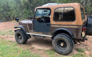 Jeep-cj7-1985-brown-20