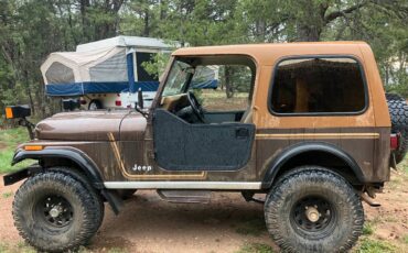 Jeep-cj7-1985-brown-8