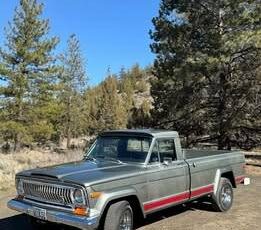 Jeep-j10-1976-grey-7