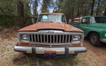 Jeep-j10-1983-3