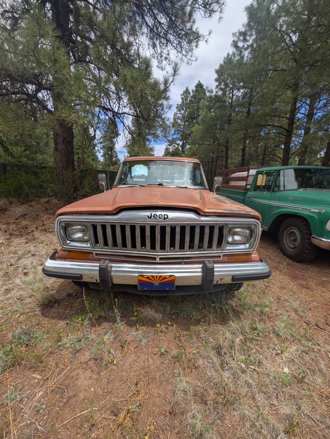 Jeep-j10-1983-3