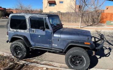 Jeep-wrangler-1990-blue-3