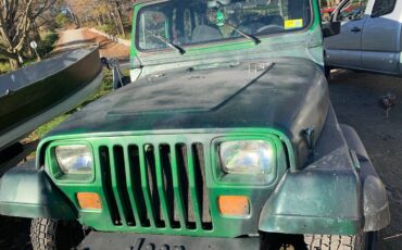 Jeep-wrangler-1990-green-5