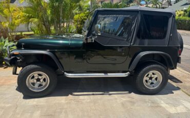 Jeep-wrangler-1991-green-2