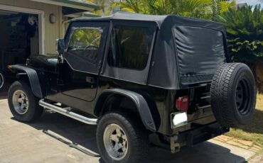 Jeep-wrangler-1991-green-3
