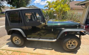 Jeep-wrangler-1991-green-4