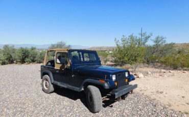 Jeep-wrangler-1995-green-3