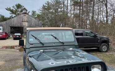 Jeep-wrangler-sahara-1994-green-1