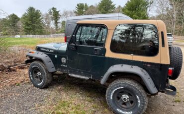 Jeep-wrangler-sahara-1994-green