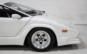 Lamborghini-Countach-1989-28