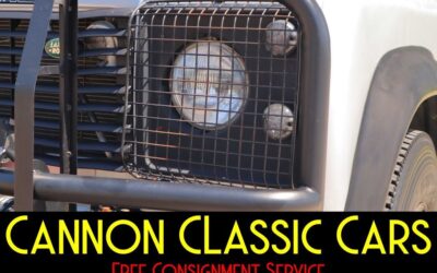 Land Rover Defender 1994 --