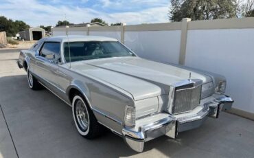 Lincoln-Continental-1976-Dove-Gray-Gray-Leather-14