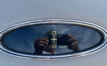 Lincoln-Continental-1976-Dove-Gray-Gray-Leather-16