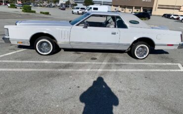 Lincoln-Continental-1976-Gray-13