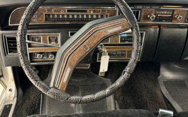 Lincoln-Continental-1976-Silver-Diamond-Fire-Black-45