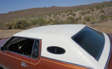 Lincoln-Continental-mark-iv-1972-Gold-Metallic-BROWN-30