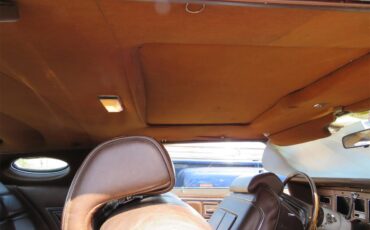 Lincoln-Continental-mark-iv-1972-Gold-Metallic-BROWN-47
