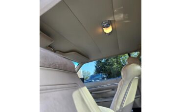Lincoln-Continental-mark-v-1979-Brown-Beige-1