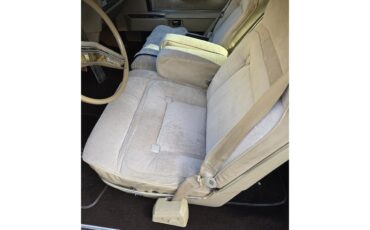 Lincoln-Continental-mark-v-1979-Brown-Beige-10