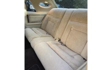 Lincoln-Continental-mark-v-1979-Brown-Beige-3