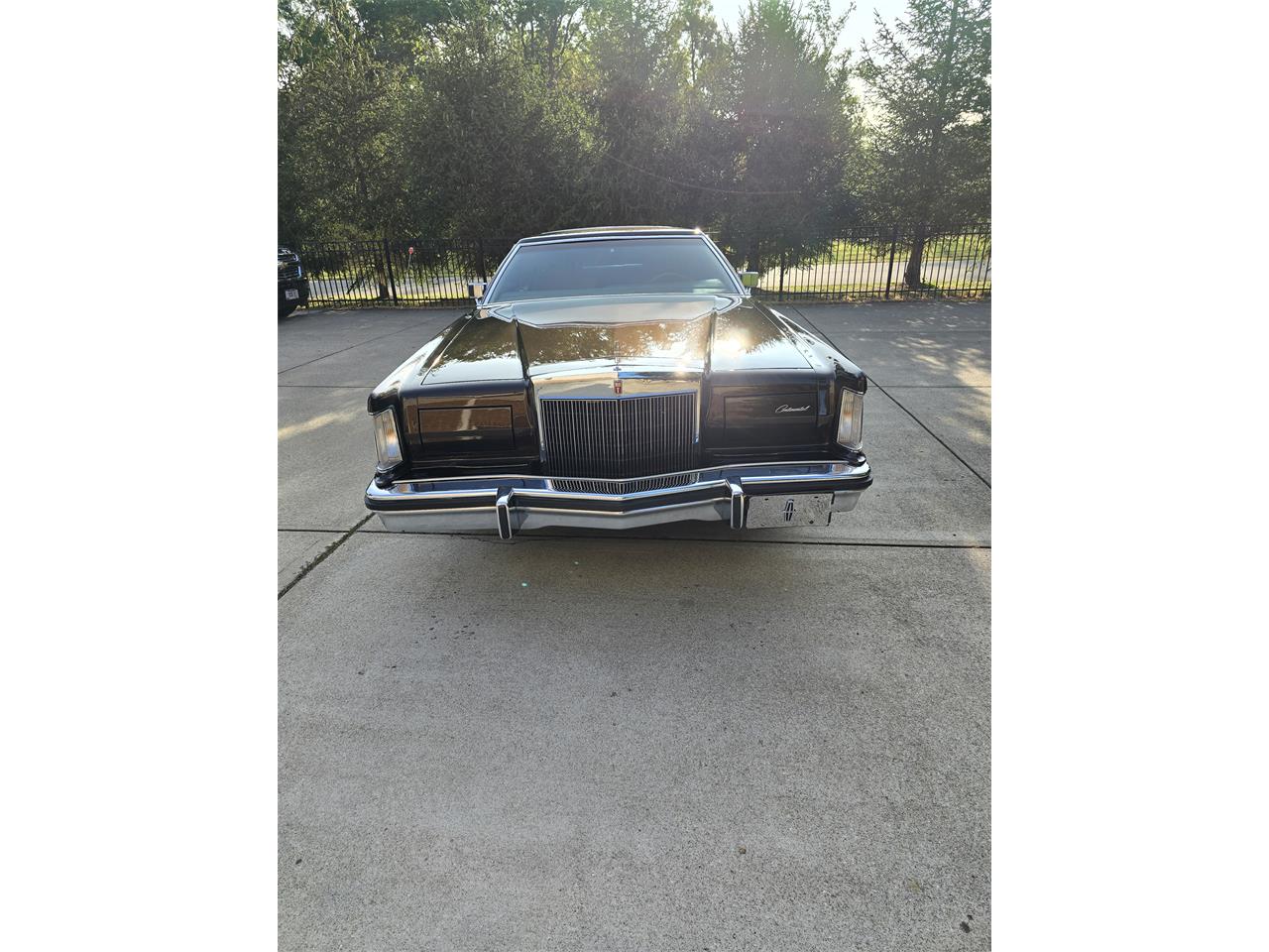 Lincoln-Continental-mark-v-1979-Brown-Beige-6
