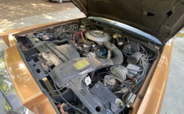 Lincoln-Continental-mark-vi-1980-custom-3