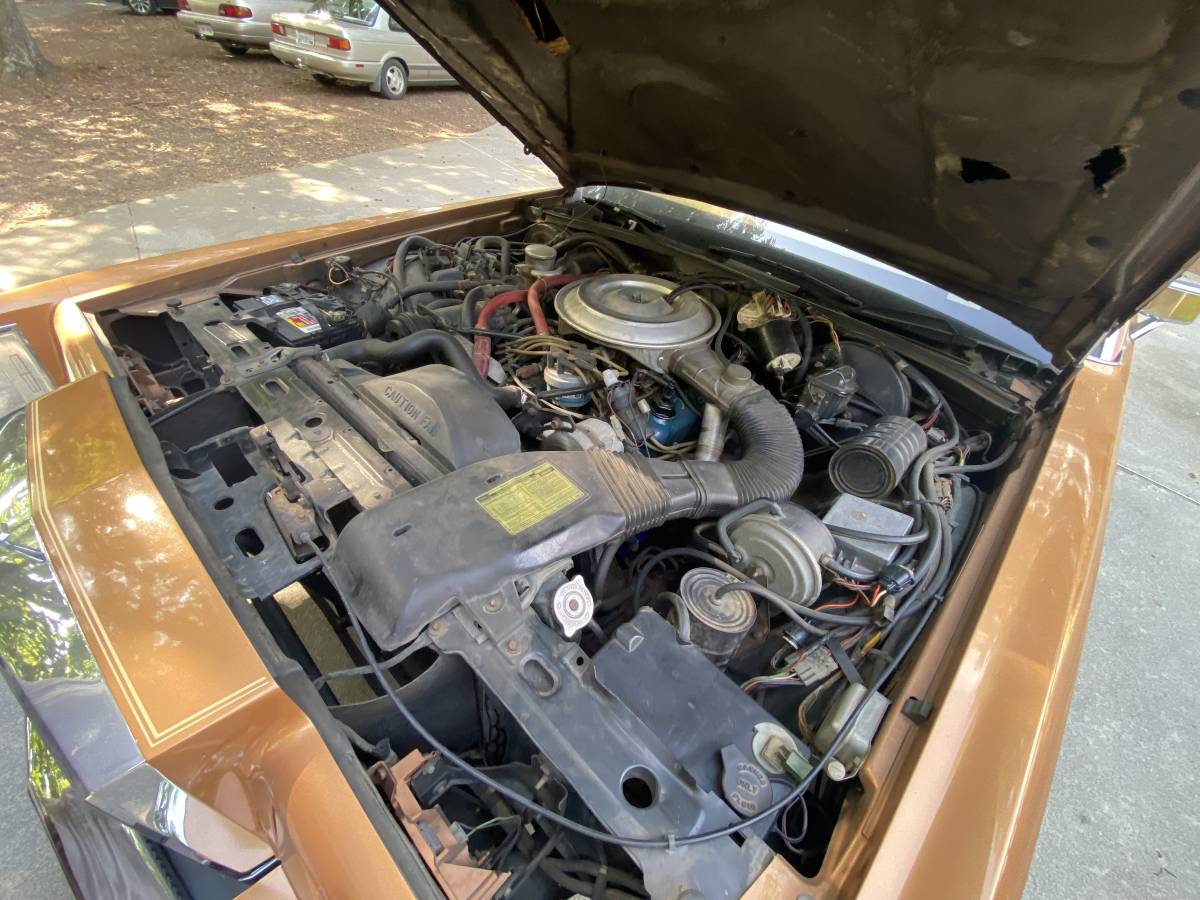Lincoln-Continental-mark-vi-1980-custom-3