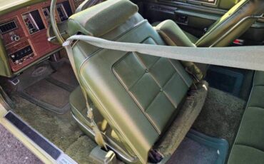 Lincoln-Mark-v-1975-Light-Green-Green-18