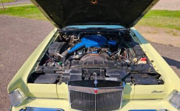 Lincoln-Mark-v-1975-Light-Green-Green-19
