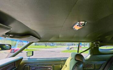 Lincoln-Mark-v-1975-Light-Green-Green-22