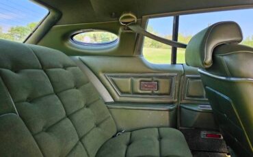 Lincoln-Mark-v-1975-Light-Green-Green-24