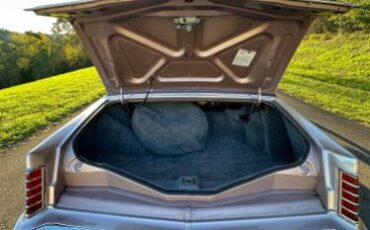 Lincoln-Mark-v-1979-Light-Metallic-Red-28